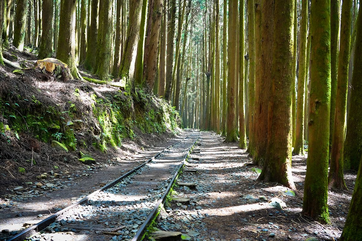 特富野古道