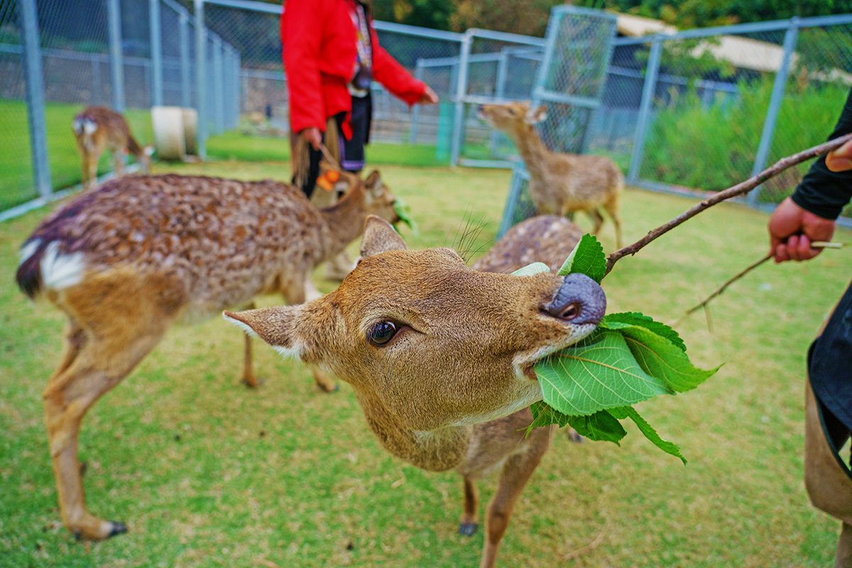 逐鹿文創園區
